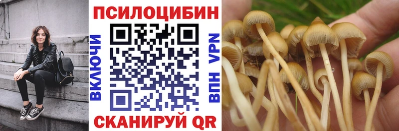 Галлюциногенные грибы ЛСД Великий Устюг